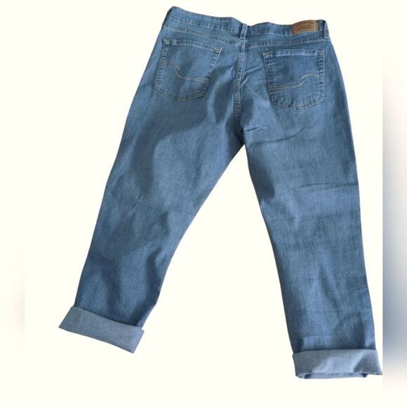 Levi Strauss Signature Mid Rose Boyfriend Jean Size 14/32 waist - Picture 5 of 6